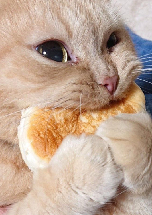 Naan