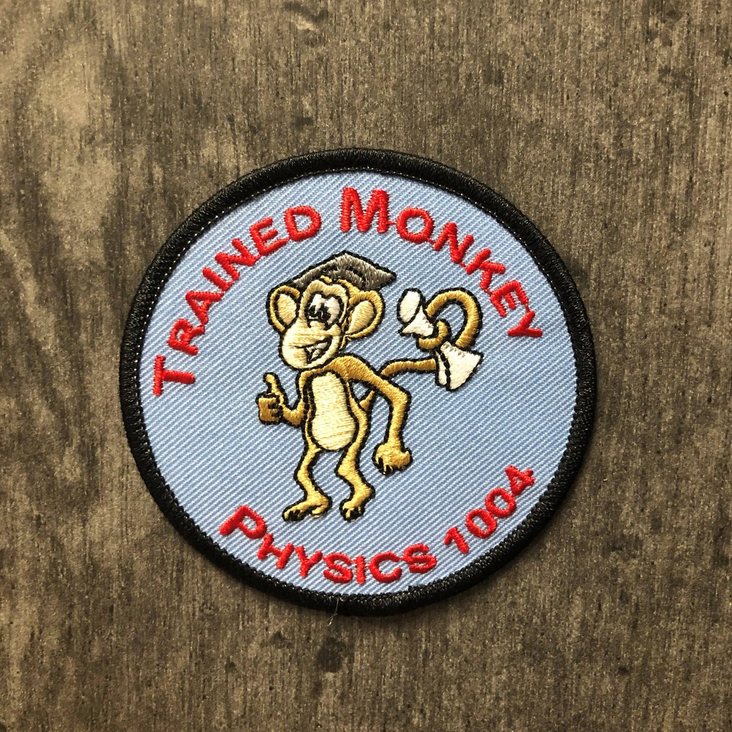 Phys 1004 Trained Monkey Patch